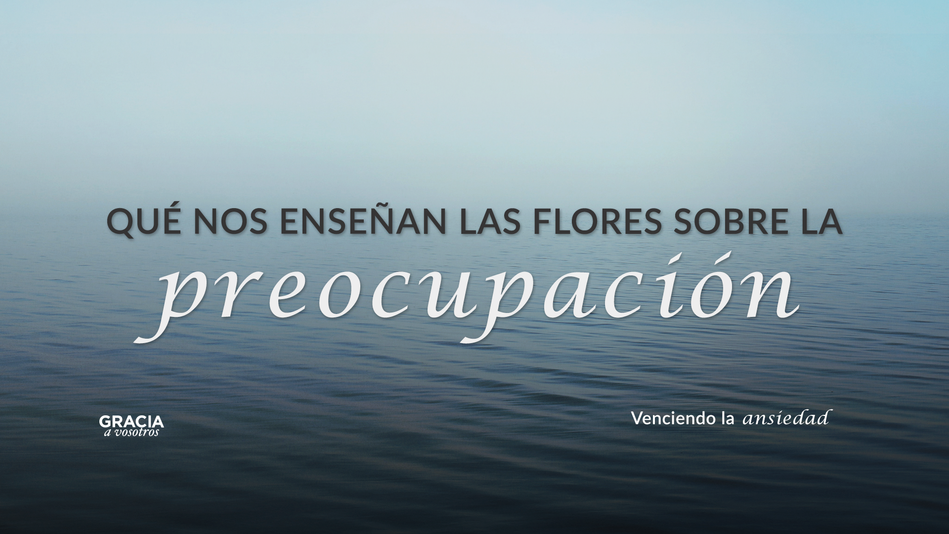 Qué nos enseñan las flores sobre la preocupación 